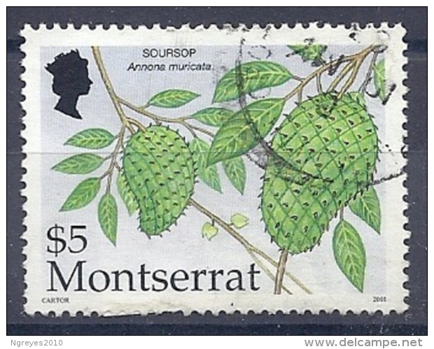 150025535  MONTSERRAT  YVERT    Nº  1062 - Montserrat