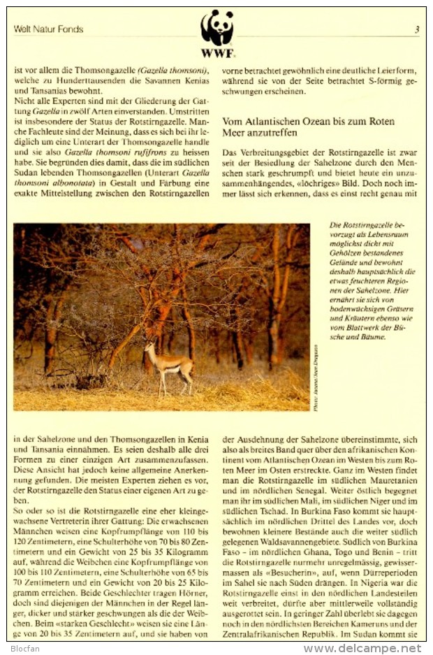 Gazelle WWF-Set 155 Obervolta 1298/1 ** 12€ Naturschutz 1993 Rotstirngazelle Dokumentation Fauna Wild-life Burkina Faso - Ferme