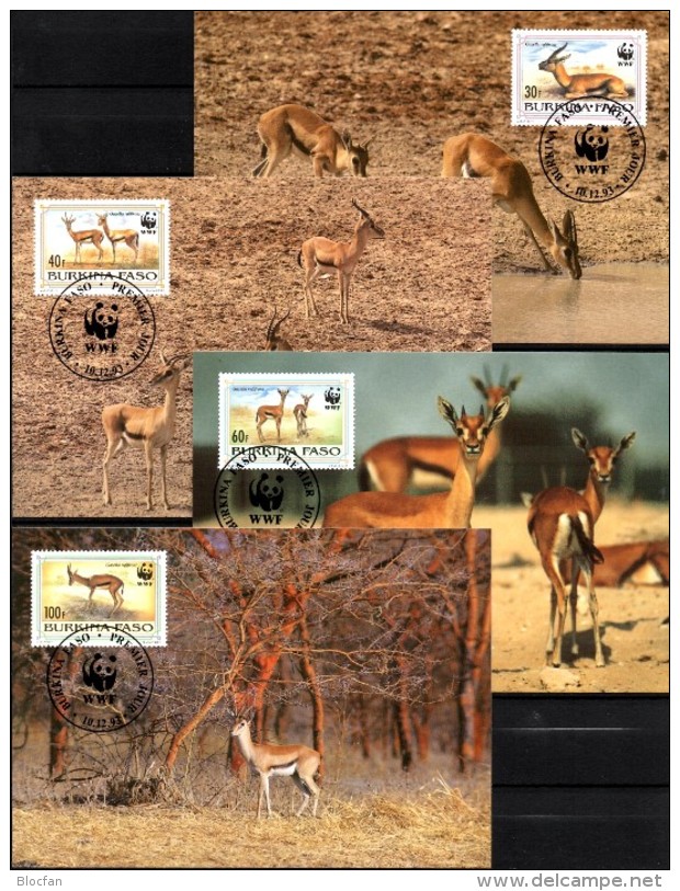 Dokumentation 1993 Gazelle WWF-Set 155 Obervolta 1298/1 MKt.24€ Naturschutz Rotstirngazelle Wild-life Cards Burkina Faso - Burkina Faso (1984-...)