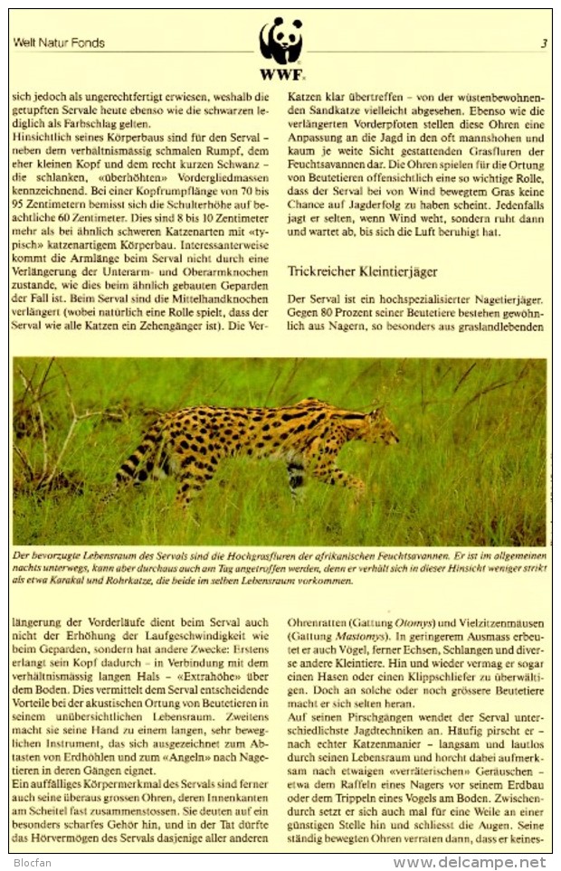 Raubkatzen Naturschutz 1992 WWF-Set 133 Burundi 1758/1 MKt. 26€ Serval Dokumentation Fauna Wildlife Cats Cards Of Africa - Usati