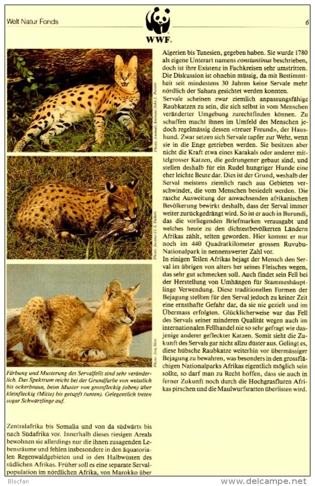 Raubkatzen Naturschutz 1992 WWF-Set 133 Burundi 1758/1 MKt. 26€ Serval Dokumentation Fauna Wildlife Cats Cards Of Africa - Gebraucht