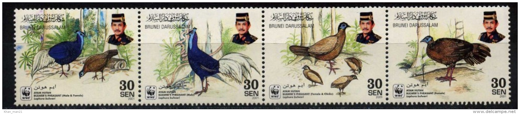 Brunei, 2001, WWF, Birds, MNH - Nuevos