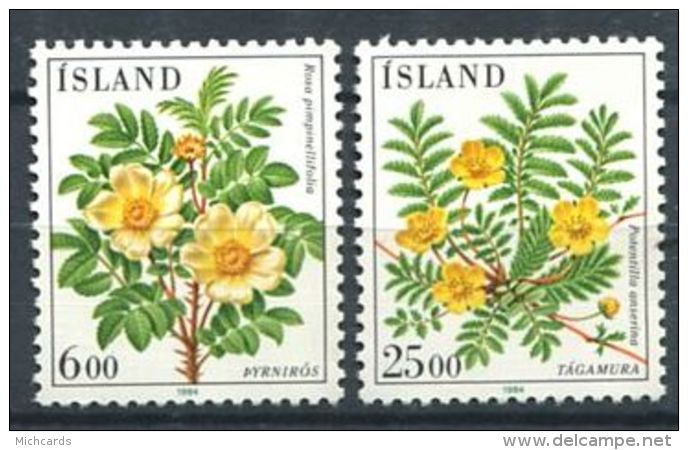 168 ISLANDE 1984 - Yvert 565/66 - Fleur - Neuf ** (MNH) Sans Trace De Charniere - Unused Stamps