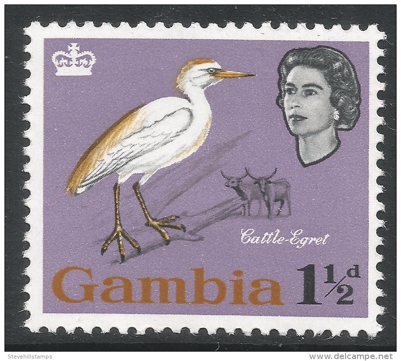 Gambia. 1963 Birds. 1½d MH. SG 195 - Gambie (...-1964)