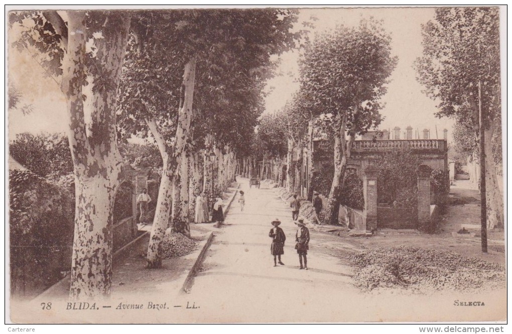 Cpa,afrique Du Nord,Algérie,nord D´alger,BLIDA, Avenue BIZOT En 1900,belle Avenue Animée ,pleins D´arbres,rare - Blida