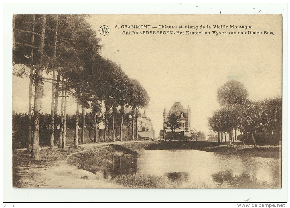 Geraardsbergen - Grammont  *  Het Kasteel En Vijver Van Den Ouden Berg - Geraardsbergen