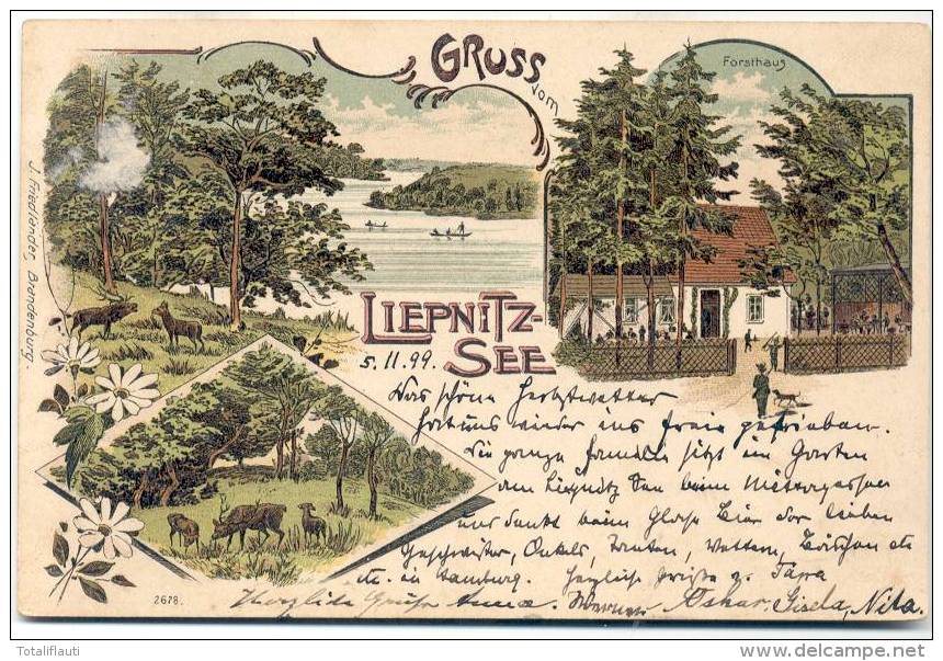 WANDLITZ Gruss Aus Liepnitzsee Friedländer Litho Forsthaus Jagd Szenen 16.10.1899 Gelaufen - Wandlitz