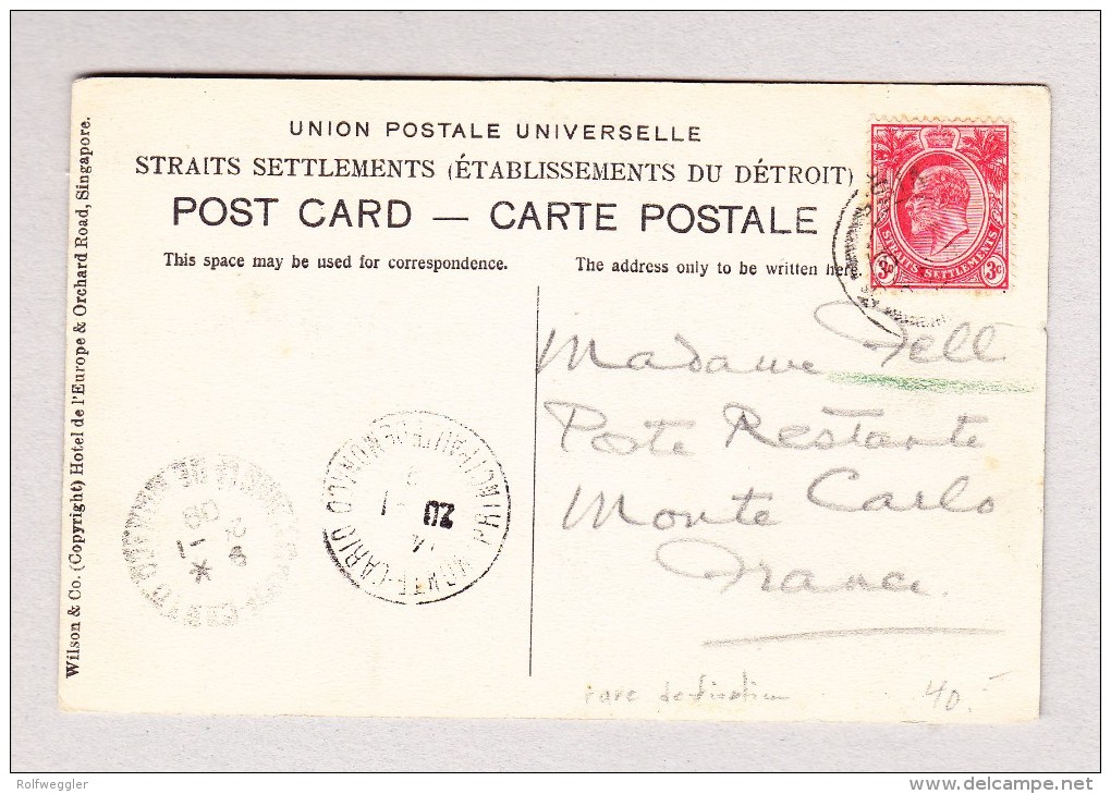 GB Malaysia 3c Straits Settlements 1?.1.1908 Ansichtskarte Botanical Gardens Nach Monte Carlo Seltene Destination - Straits Settlements