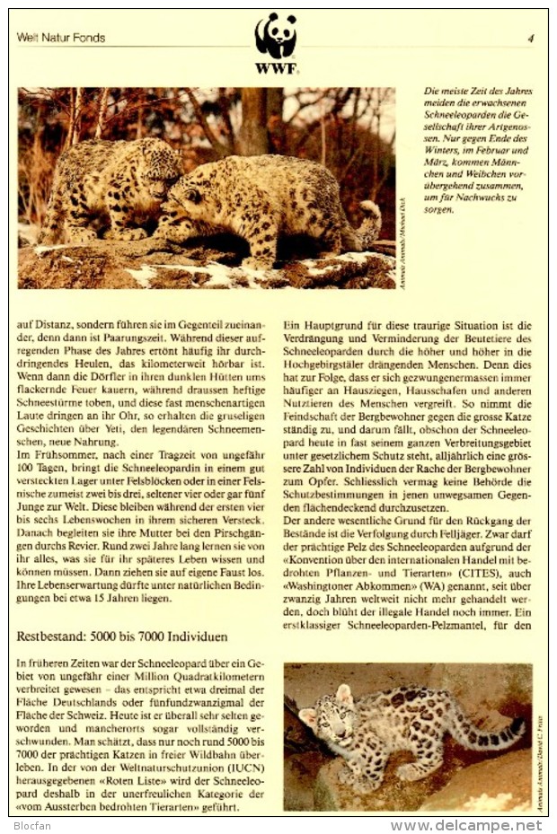 Maxicard Naturschutz WWF-Set 163 Kirgistan 22/5 MC 12€ Schnee-Leopard Dokumentation 1994 Wild-life Cards Kyrgyzstan ASIA - Kirghizistan