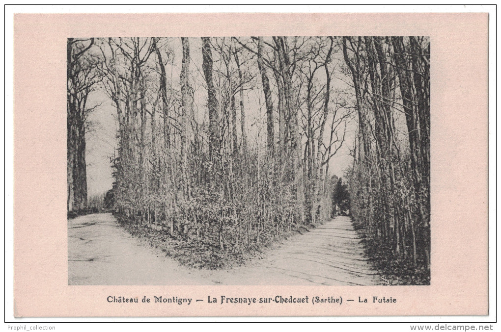 Sarthe 72 - LA FRESNAYE Sur CHEDOUET Et Le Chateau De MONTIGNY La Futaie Vue Sur Les Chemins Dans La Foret - La Fresnaye Sur Chédouet