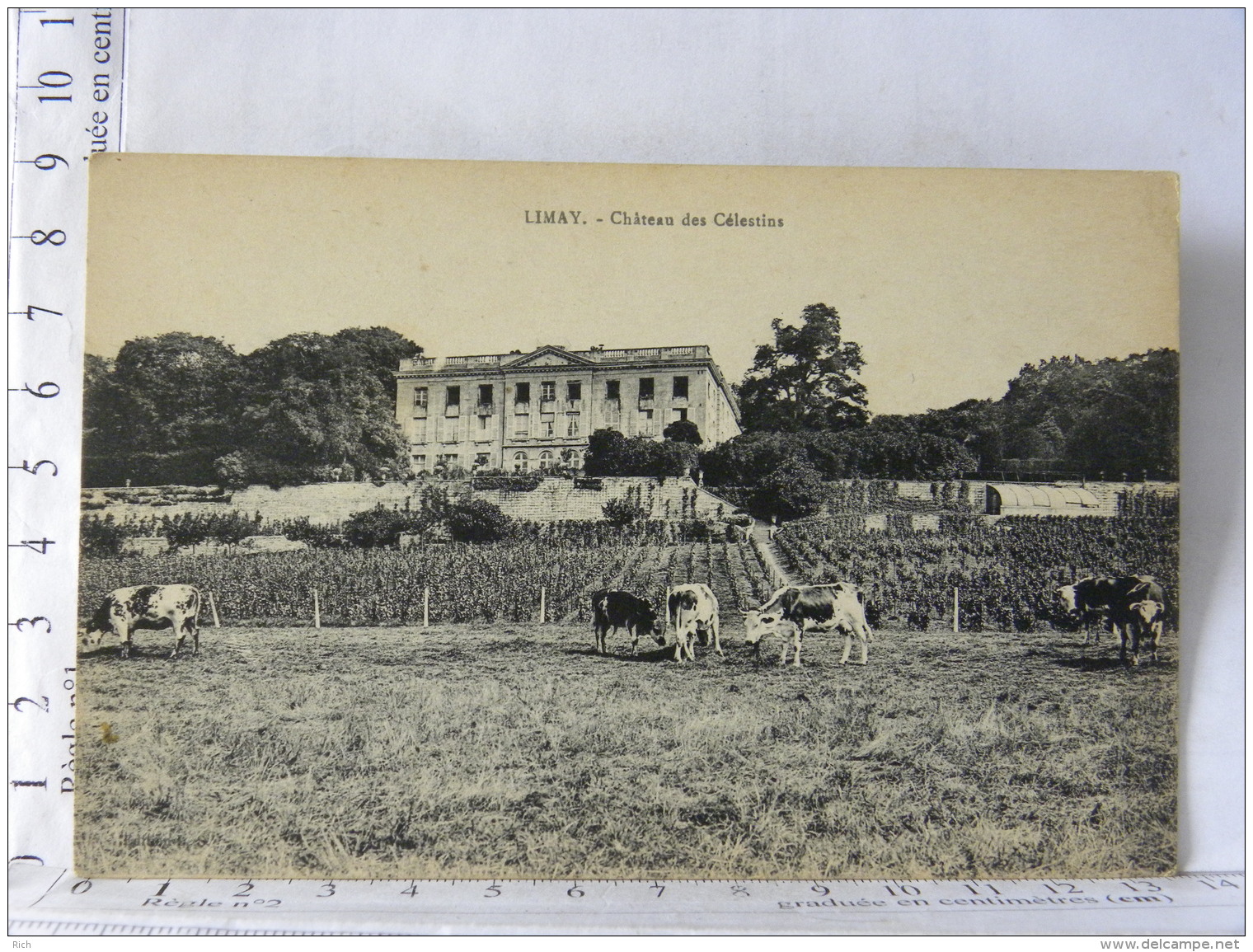 78 - LIMAY - Chateau Des Célestins - Limay