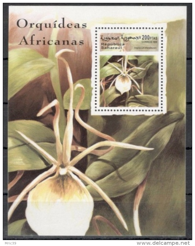 Bloc Sheet Fleur Flowers  MNH  Neuf ** Sahara - Africa (Other)