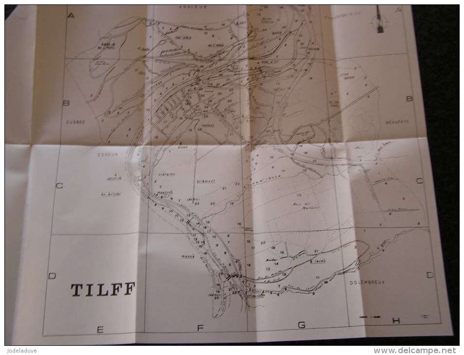 TILFF SUR OURTHE Monographie de l' Origine à la Fin de l' Ancien Régime G Thiriard Régionalisme Histoire Toponymie