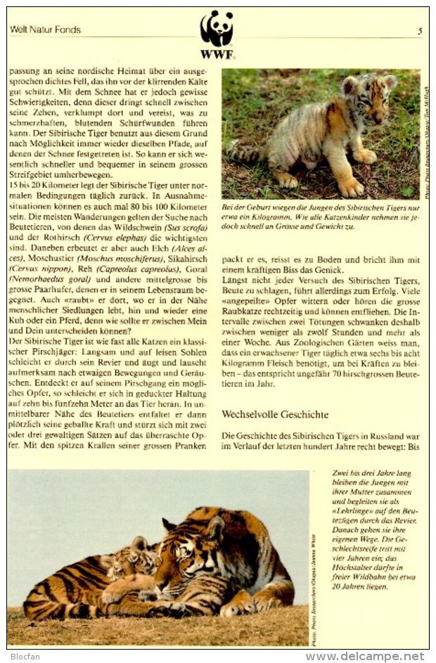 Tiger WWF-Set 154 Rußland 343/6 4x FDC 6€ Dokumentation Groß-Katze Naturschutz 1993 Wildlife Fauna Tigre Cover Of RUSSIA - FDC