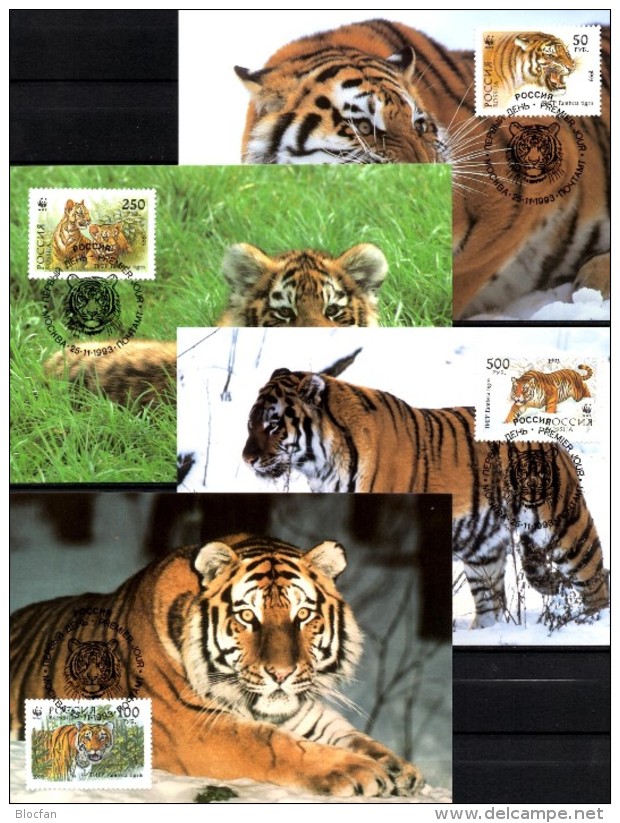 Naturschutz 1993 Tiger WWF-Set 154 Rußland 343/6 4x MC 8€ Dokumentation Groß-Katze Wild-life Fauna Tigre Cards Of RUSSIA - FDC