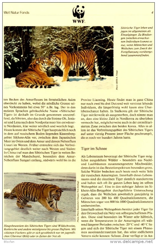 Naturschutz 1993 Tiger WWF-Set 154 Rußland 343/6 4x MC 8€ Dokumentation Groß-Katze Wild-life Fauna Tigre Cards Of RUSSIA - FDC