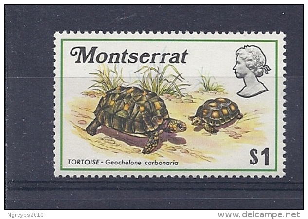 150025573  MONTSERRAT  YVERT    Nº    281  **/MNH - Montserrat