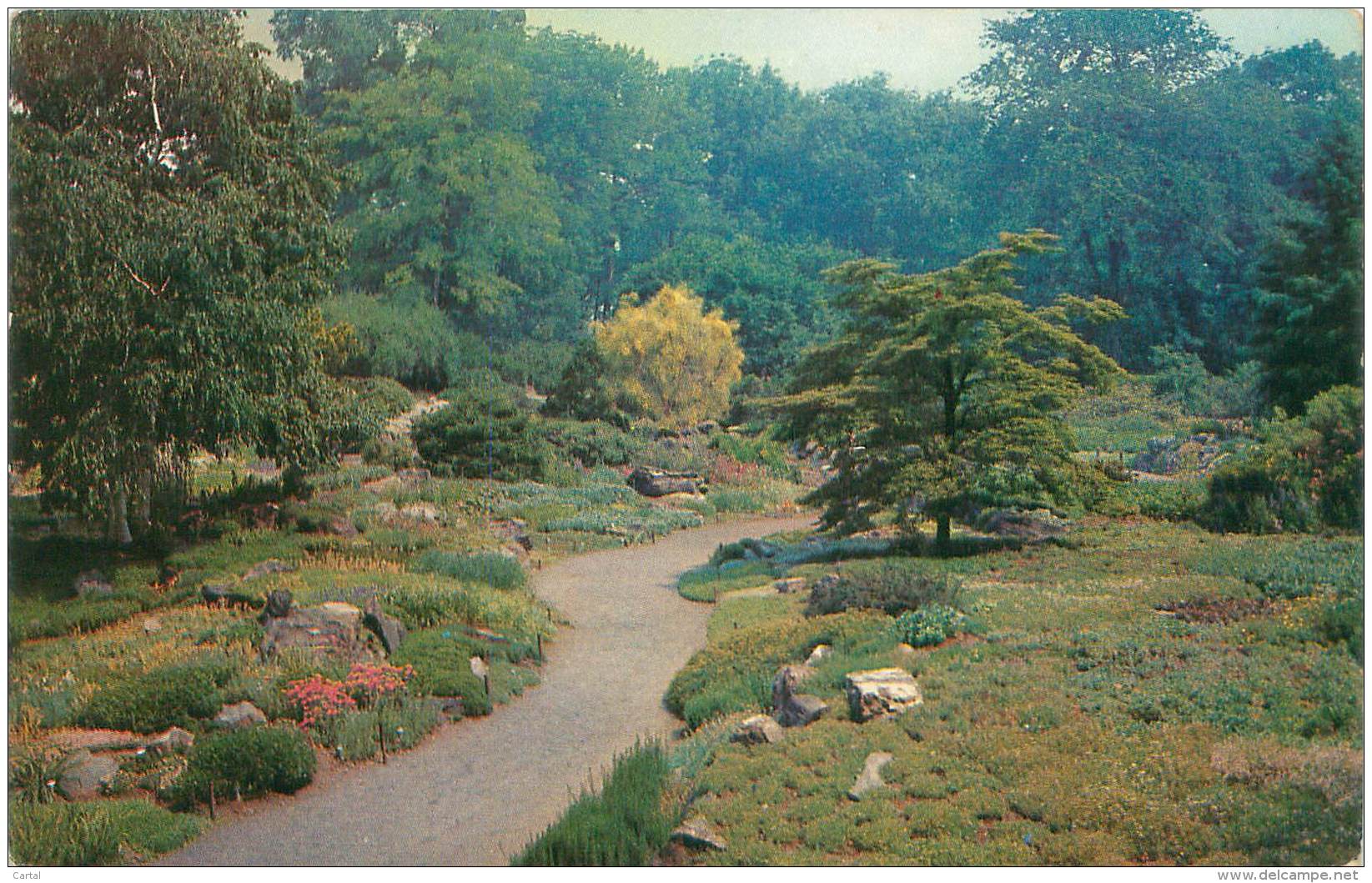 The NEW YORK BOTANICAL GARDEN - Thompson Memorial Rock Garden - Bronx Park - Parks & Gardens