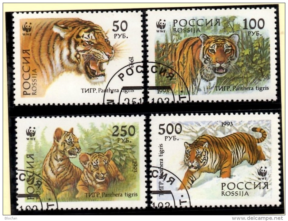 Cats Panthera Tigris Sibirische Tiger 1993 Russland 343/6,VB+12-Bl.o 24€ Naturschutz Bloque Wildlife Sheetlets Ms Russia - Sammlungen