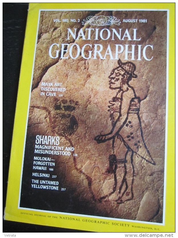 NATIONAL GEOGRAPHIC Vol. 160, N°2, 1981 : Maya Art - Sharks - Molokai - Helsinki (en Kangue Anglaise - Bon état Intérieu - Géographie