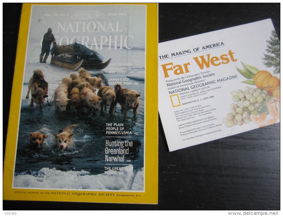 NATIONAL GEOGRAPHIC Vol. 165, N°4, 1984 : East Of Eden - Pennsylvania - Hunting The Greenland Narwhal (bon état, Couvert - Geografia