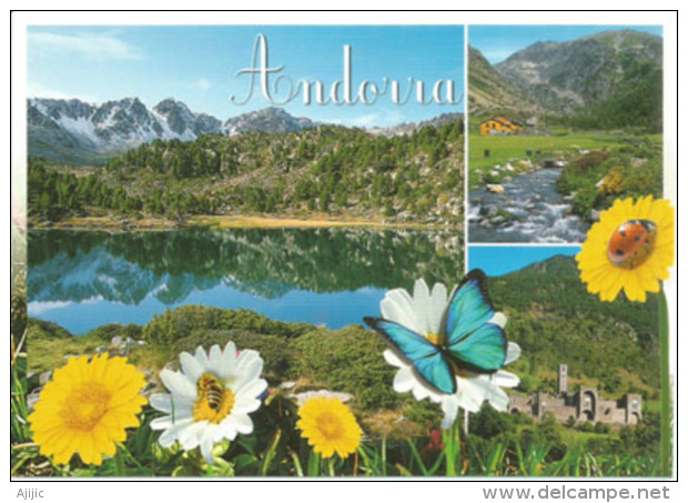 Le Printemps En Andorre, Carte Postale Neuve, Non Circulée. - Andorre
