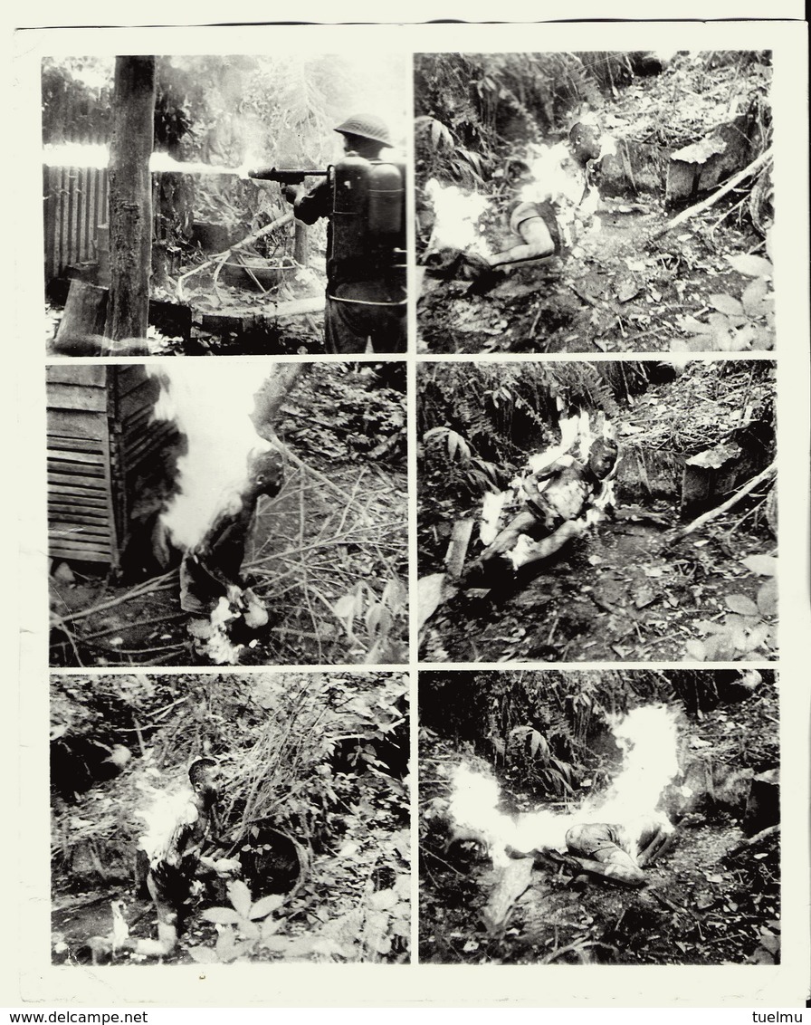Wwii Photo PRESS Borneo 1945 Execution Japonais Lance Flamme Australian Flame Thrower Sets Jap 6 Photos Live - Guerra, Militari