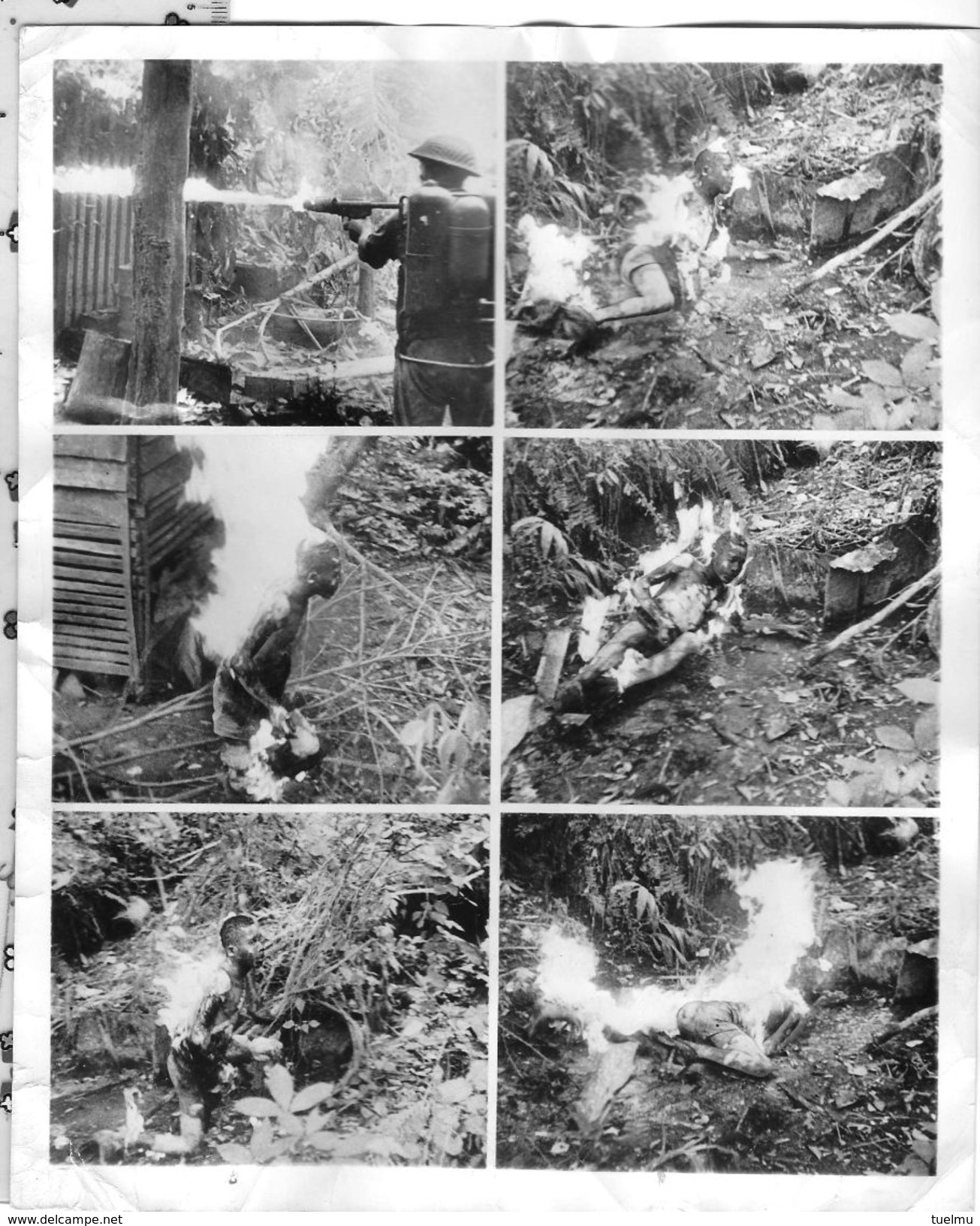 Wwii Photo PRESS Borneo 1945 Execution Japonais Lance Flamme Australian Flame Thrower Sets Jap 6 Photos Live - Guerra, Militari