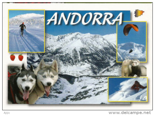 Souvenirs D'Andorre L'hiver, Carte Postale Neuve, Non Circulée. - Andorre