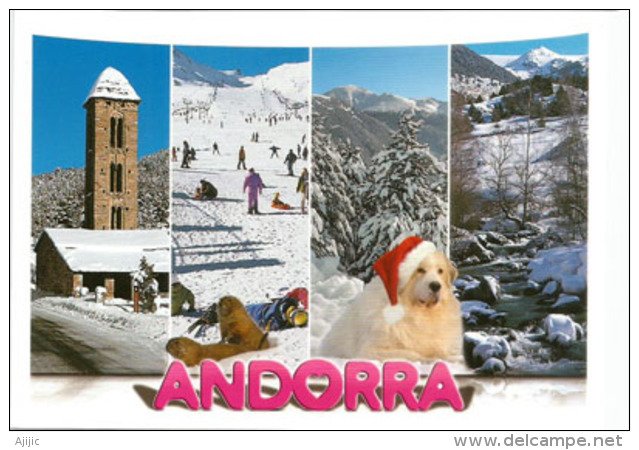 Andorra - Souvenirs d'Andorre l'hiver, chien , carte postale neuve, non  circulée.