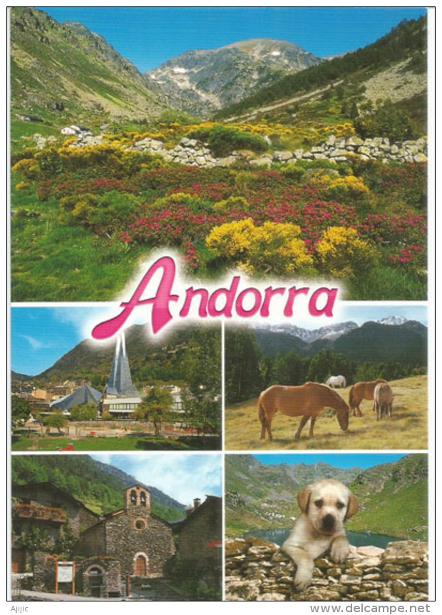 Souvenirs D'Andorre L'été, Carte Postale Neuve, Non Circulée. - Andorre