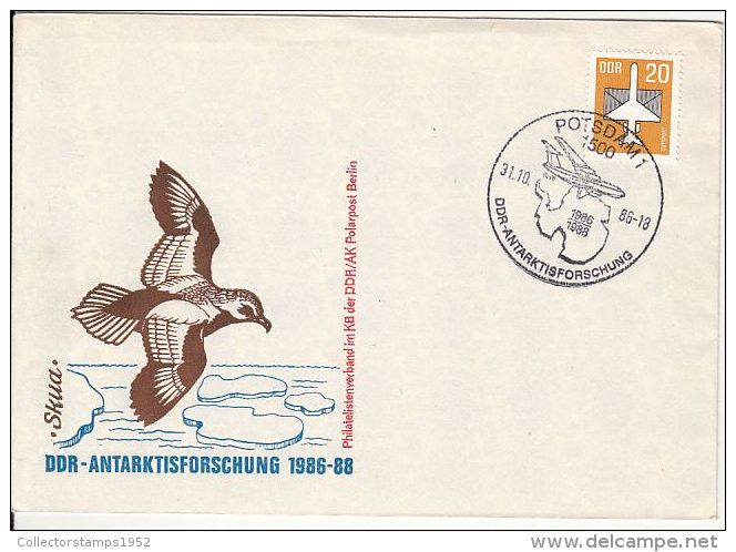 45766- SKUA, ANTARCTIC WILDLIFE, GERMAN ANTARCTIC RESEARCH, SPECIAL COVER, 1986, GERMANY-DDR - Faune Antarctique