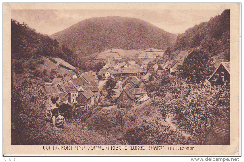 AK Luftkurort Und Sommerfrische Zorge - Harz - Mittelzorge - Nachgebühr - 1931 (23958) - Osterode