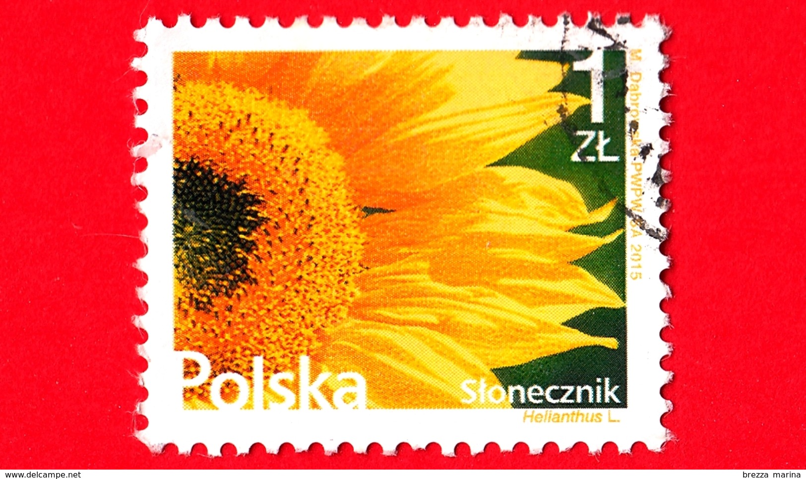 POLONIA - POLSKA - Usato - 2015 - Fiori - Girasoli - Sunflower - 1 - Oblitérés