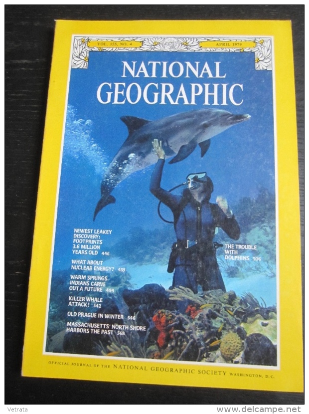 NATIONAL GEOGRAPHIC Vol. 155, N°4, 1979 : Dolphins - Newest Leakey Discovery - - Geographie