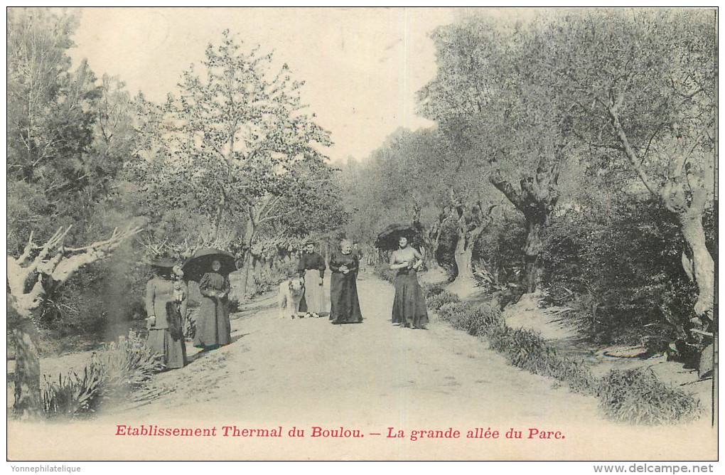 66 - PYRENEES ORIENTALES - Le Boulou - établissement Thermal - Grande Allée Du Parc - Autres & Non Classés