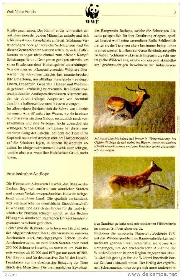 Naturschutz 1987 Wasser-Bock WWF-Set 57 Sambia 438/1 4x MC 20€ Schwarzer Litschi Dokumentation Wild-life Cards Of ZAMBIA - Lettres & Documents