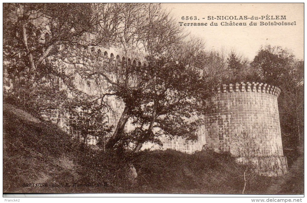 22. Saint Nicolas Du Pelem. Terrasse Du Chateau De Boisboissel - Saint-Nicolas-du-Pélem