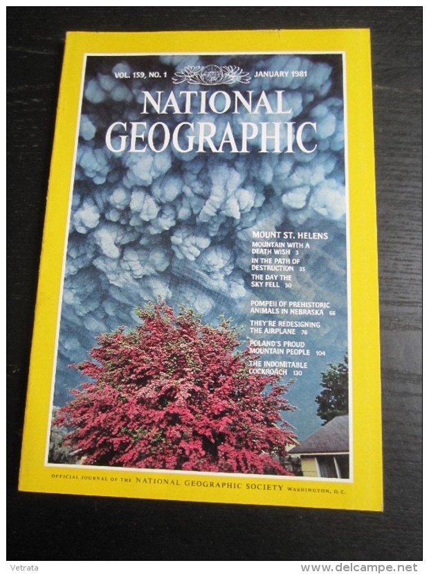 NATIONAL GEOGRAPHIC Vol. 159  N°1, 1981 : Mount St Helens - Prehistoric Animals In Nebraska - Aardrijkskunde