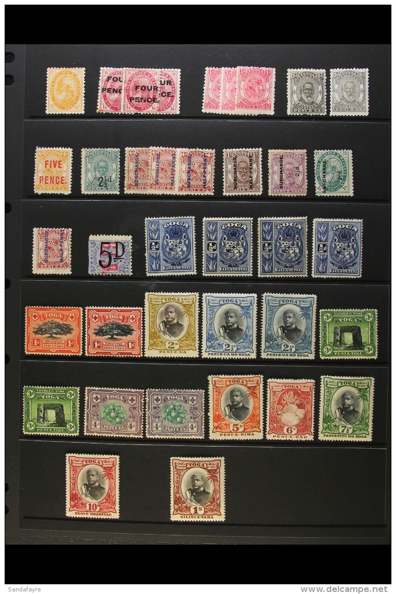 1891-1963 EX DEALERS MINT STOCK Presented On Stock Pages, Some Light Duplication (mostly 1944 Jubilee Issues Inc... - Tonga (...-1970)