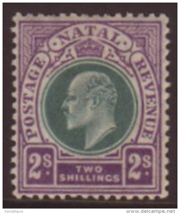 NATAL 1904-08 2s Dull Green &amp; Bright Violet, SG 156, Fine Mint, Short Perf For More Images, Please Visit... - Non Classificati