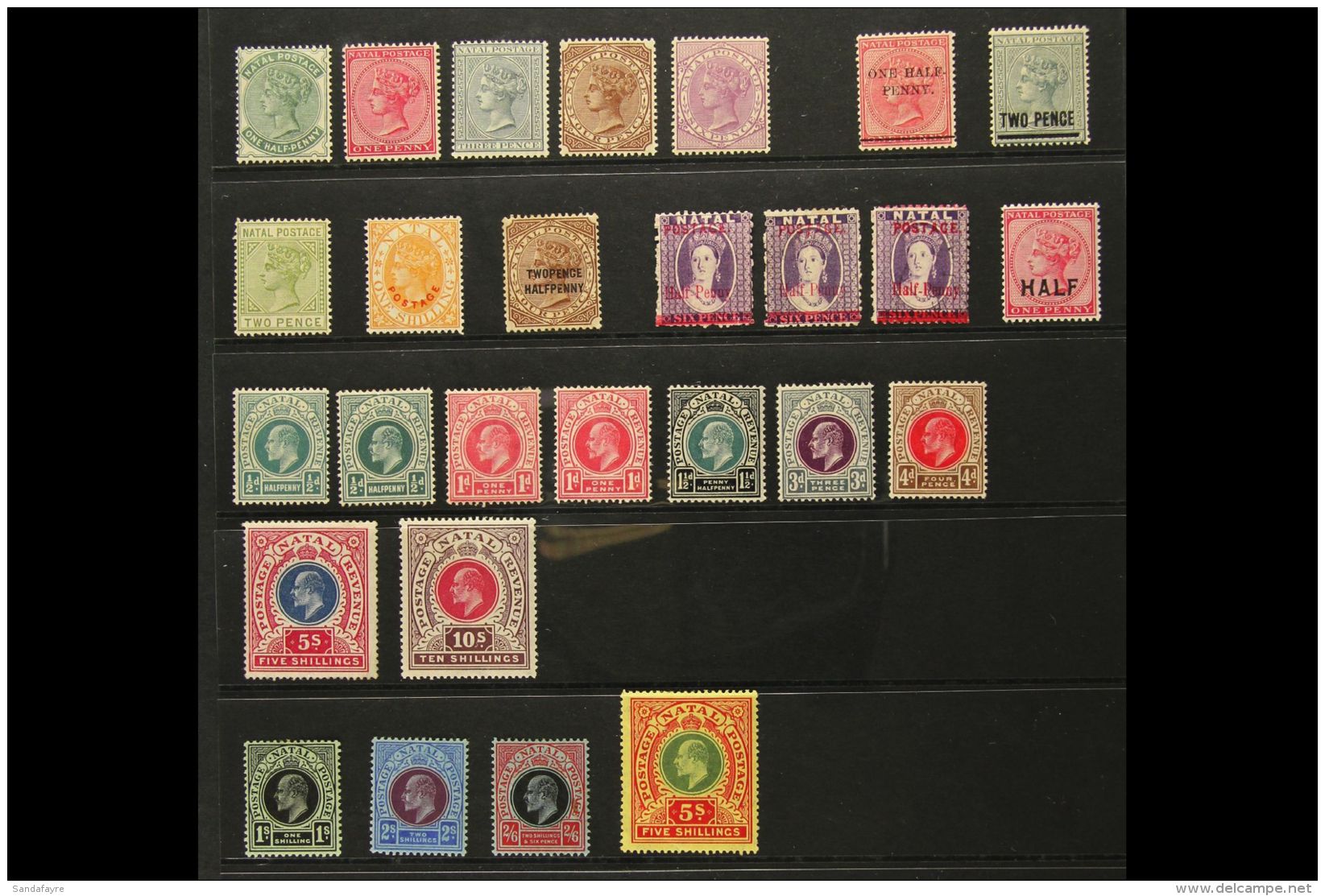 NATAL 1882-1909 Fine Mint Collection, Includes 1882-89 Five Different Values To 6d, 1885 &frac12;d On 1d, 1886 2d... - Non Classificati