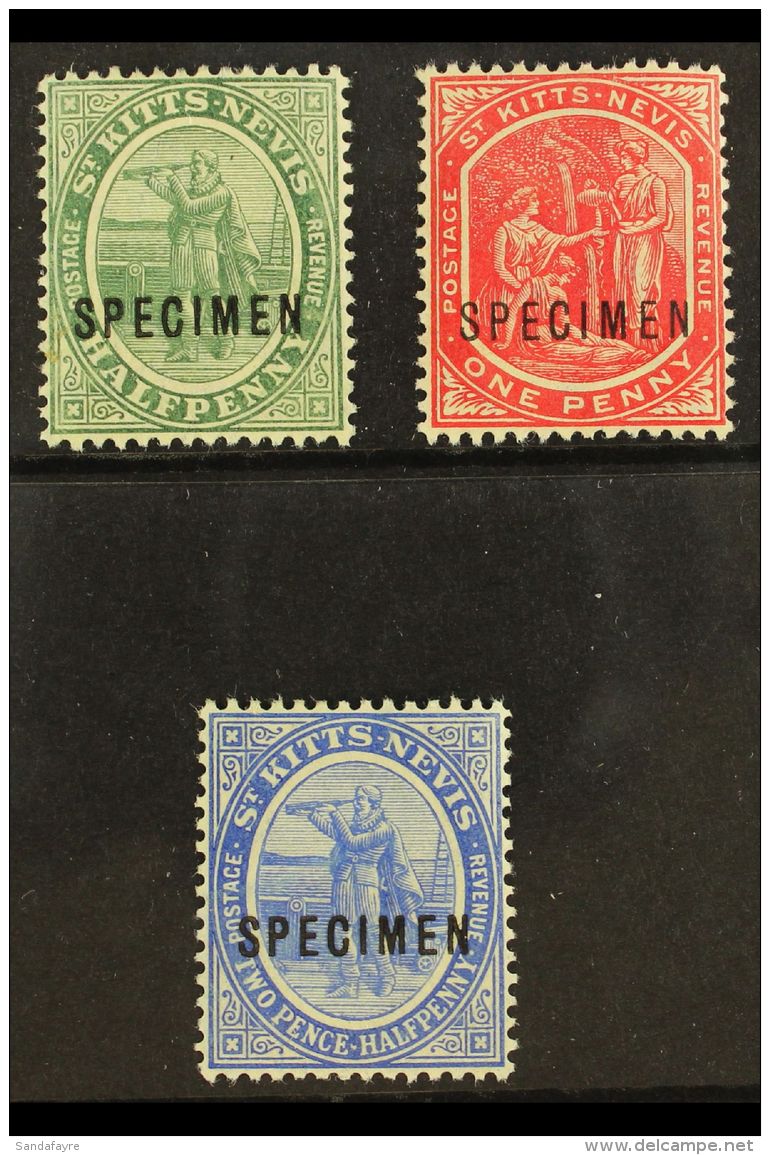 1905 &frac12;d Green, 1d Carmine And 2&frac12;d Bright Blue, Ovptd "Specimen", SG 12s, 14s, 17s, Very Fine Mint.... - St.Kitts E Nevis ( 1983-...)