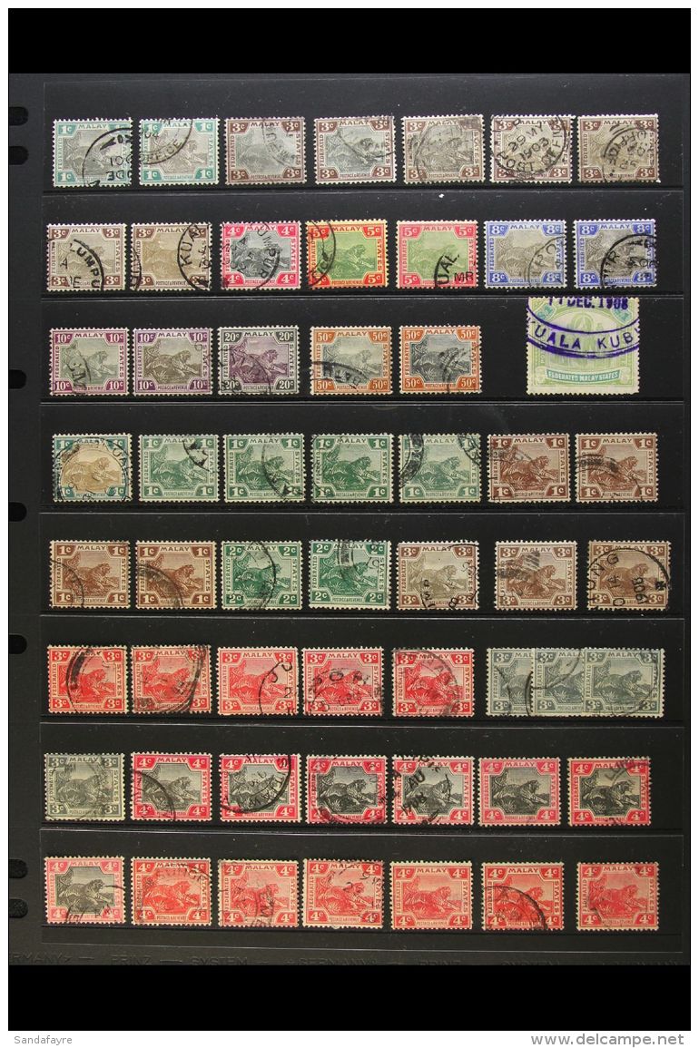 FMS TIGERS COLLECTION 1900-1934 USED SHADED RANGE Presented On Stock Pages. Includes 1900-01 Set With Shades Of... - Altri & Non Classificati