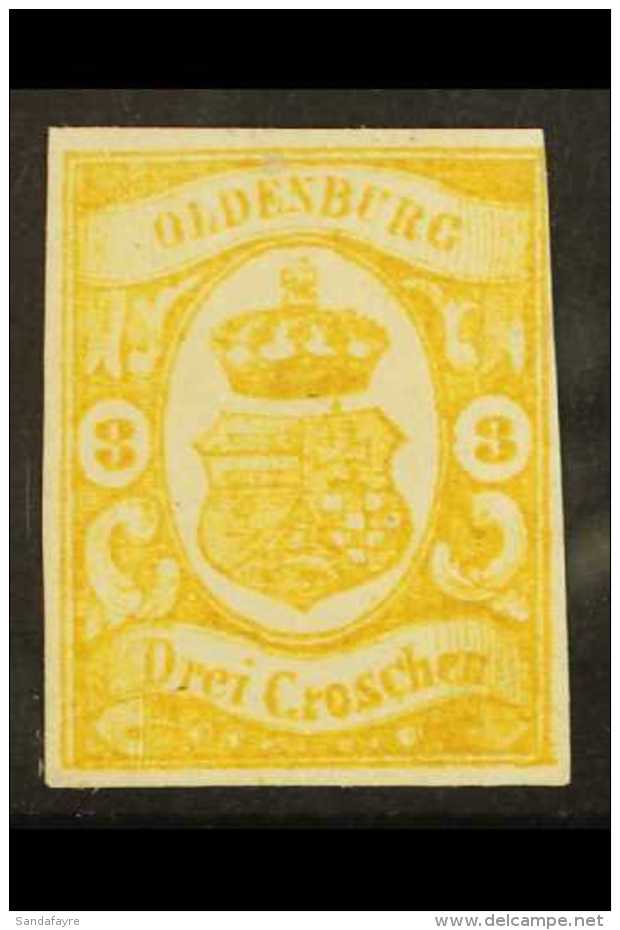 OLDENBURG 1861 3 Gr Greyish Yellow, Mi 14, Fine Mint Og, Clear Margins To 3 Sides Just Shaves Top Right Frame. For... - Altri & Non Classificati