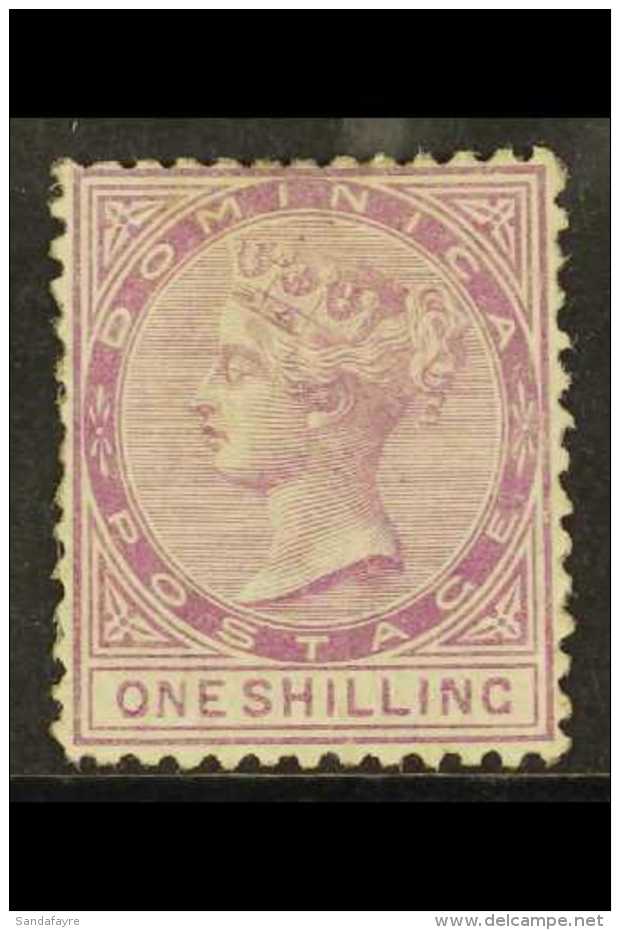 1874 1s Dull Magenta, SG 3, Mint, Some Shortish Perfs At Left, Disturbed Gum But Reasonably Appearing Example Of... - Dominica (...-1978)