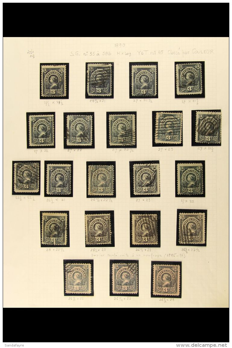 1890-1898 SEMI-SPECIALISED COLLECTION ON LEAVES Mint/unused And Used, Mostly Good To Fine Condition. With 1890 3c... - Altri & Non Classificati