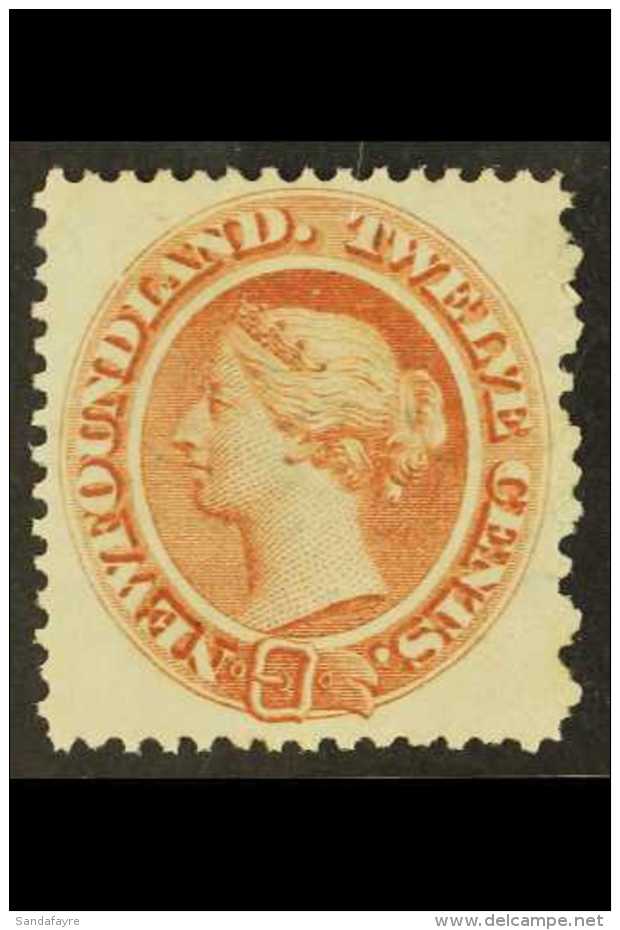 1865-71 12c Pale Red Brown MAJOR RE-ENTRY (plate Position 69), Unitrade 28 Var (SG 33 Var), Fine Unused No Gum,... - Altri & Non Classificati