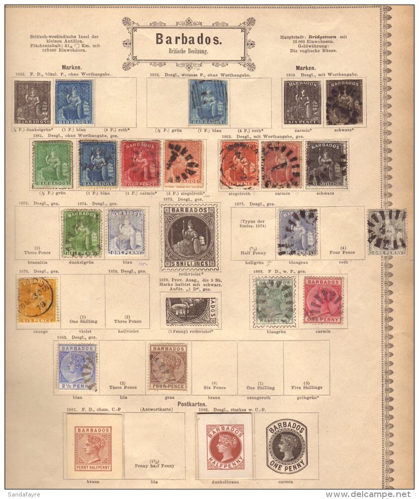 OLD TIME COLLECTION Displayed On 1884 Schaubek Printed Pages Incl. 1855-58 1d (four Margins), 1860 Pin Perf 1d... - Barbados (...-1966)