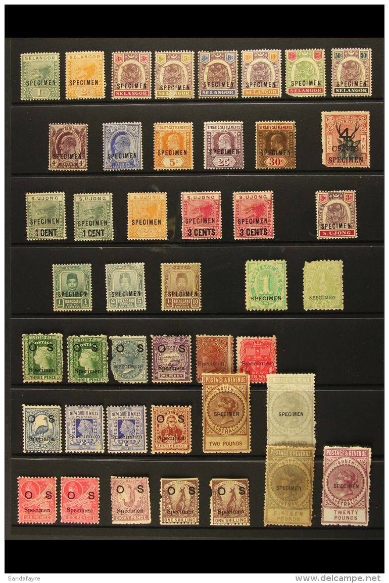 BRITISH ASIA &amp; AUSTRALASIA "SPECIMEN" STAMPS COLLECTION Spanning The 1880's To 1919. All Mint Or Unused... - Altri & Non Classificati